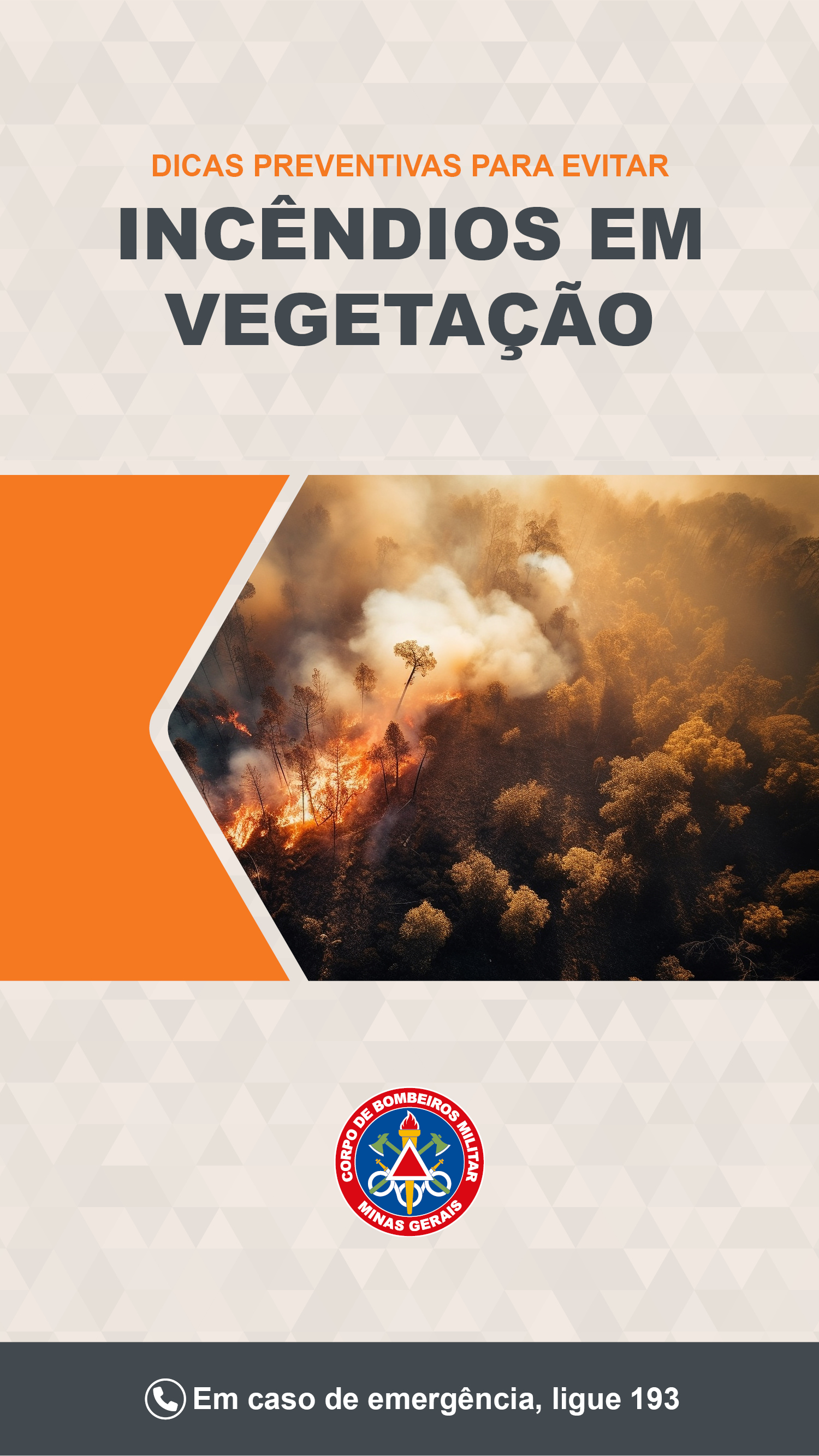 Incêndios em vegetação